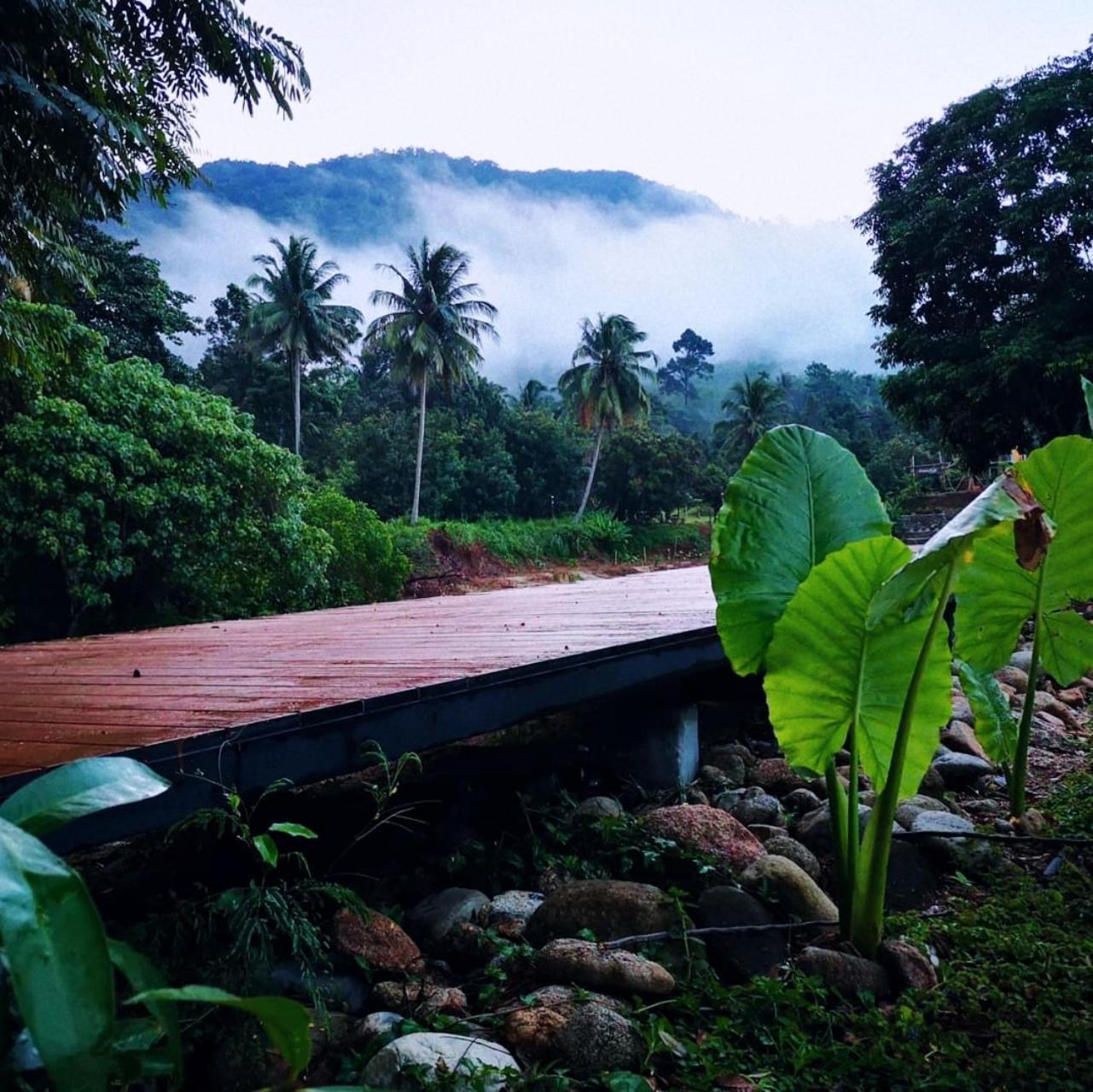 Bed and Breakfast The Creek Haus Lan Saka Exterior foto