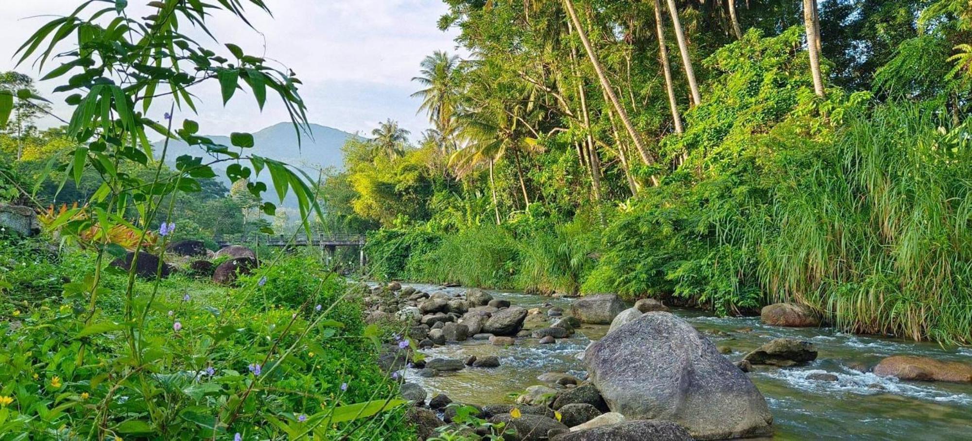 Bed and Breakfast The Creek Haus Lan Saka Exterior foto